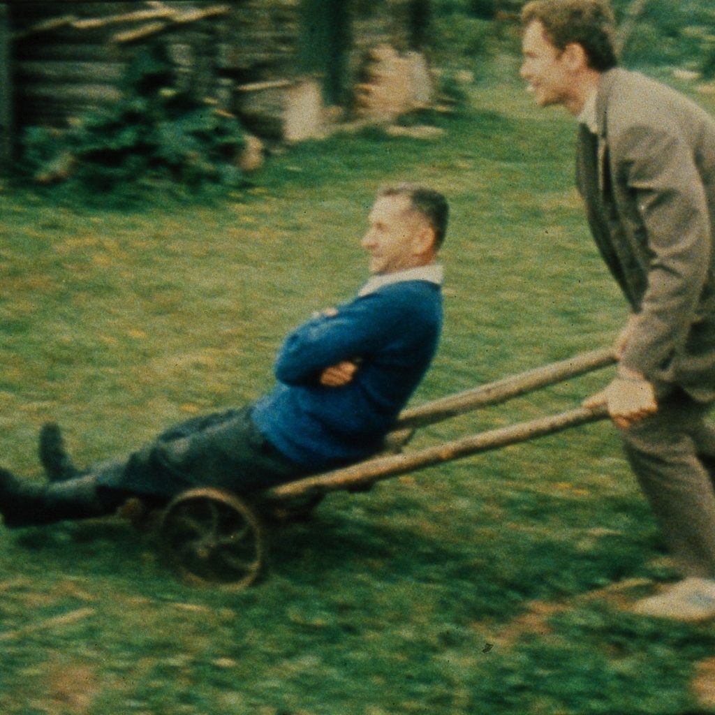 46 46